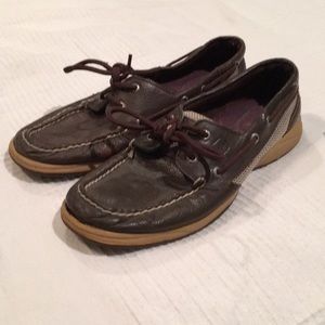 Sherrys- Top-sider- Chocolate brown